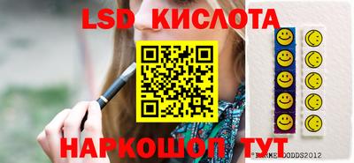 шишки Брянск