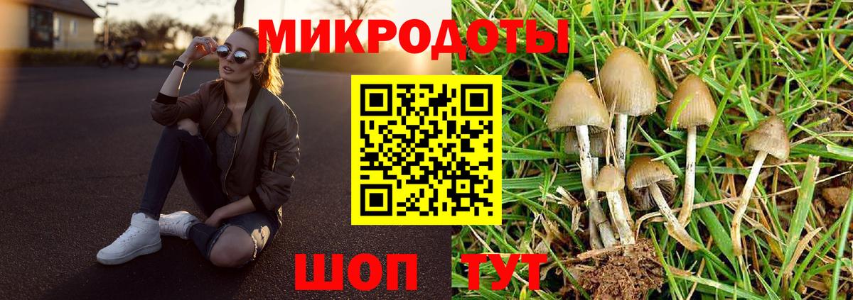 Белебей  Псилоцибиновые грибы Psilocybine cubensis  Галлюциногенные грибы прущие грибы  Вход с VPN 