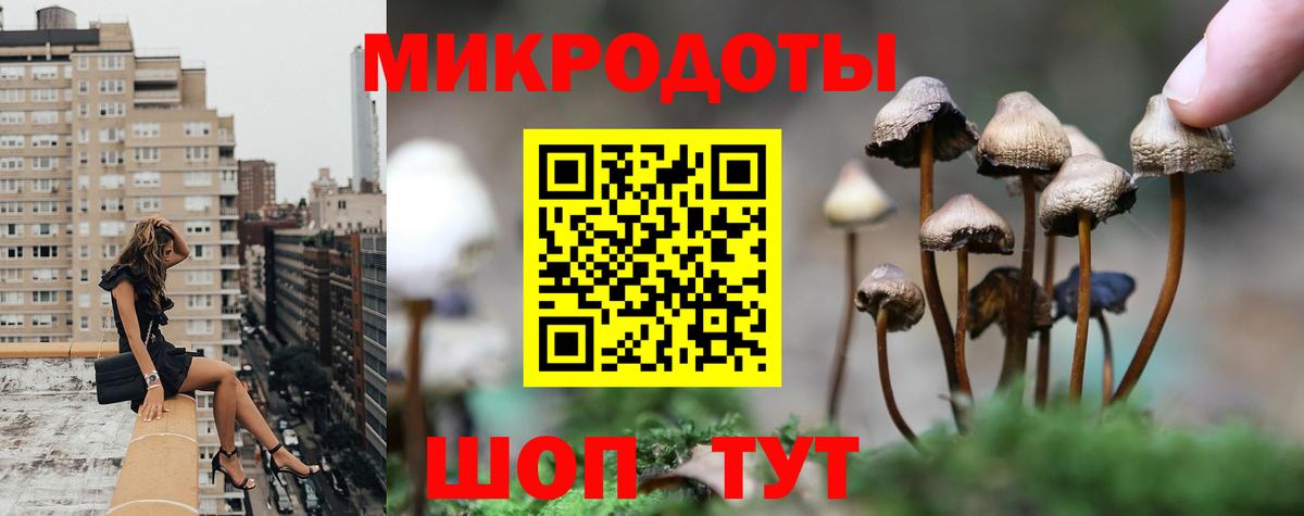 Галлюциногенные грибы Psilocybine cubensis Белебей